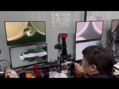 HRC 55° 8mm 2 ফ্লুটস বল নাক এন্ড মিল অ্যালুমিনিয়ামের জন্য, চেহারা এবং সারফেস কোয়ালিটি ইন্সপেকশন