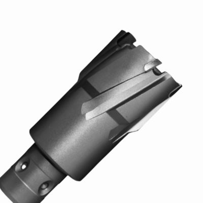 ভালো দাম 35mm কাটিয়া গভীরতা 18mm Fein দ্রুত-ইন শাঙ্ক সঙ্গে টংস্টেন কার্বাইড টপড আঙ্গুলাকার কাটার অনলাইনে